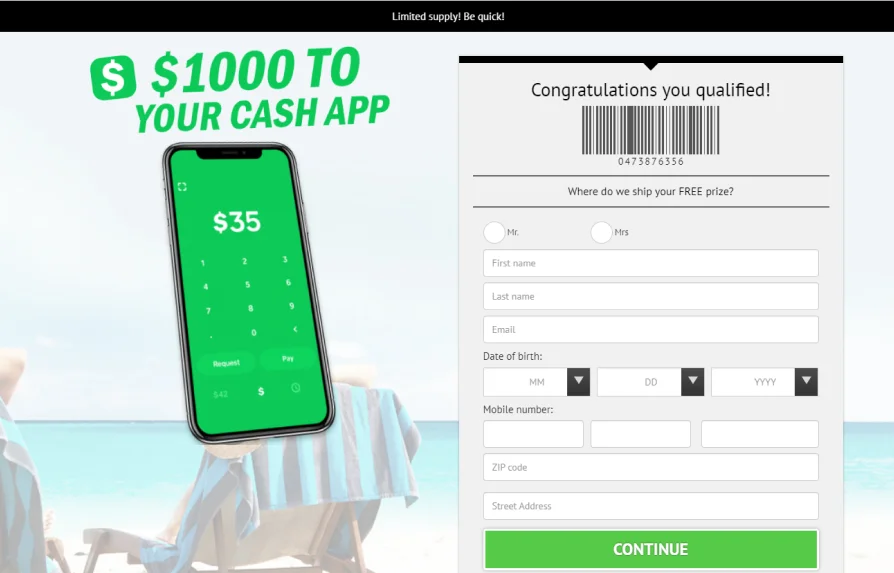 US - $1000 money to cash app